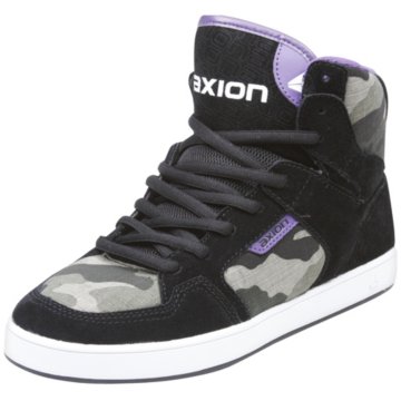 Axion Apollo