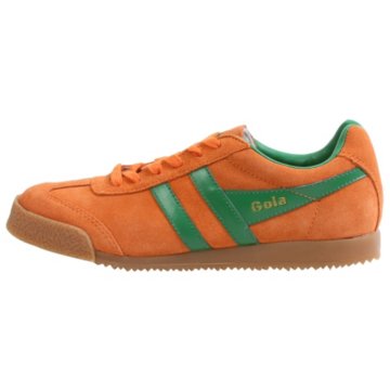Gola Harrier