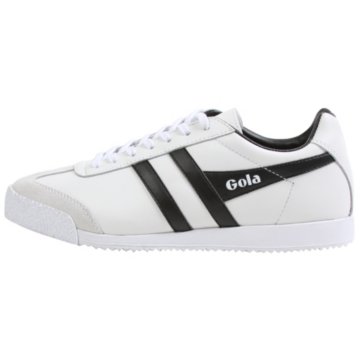 Gola Harrier