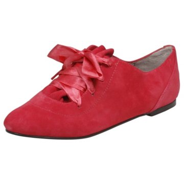 Betsey Johnson Drrew