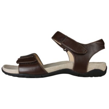 Rockport Lindera