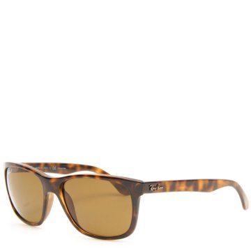 Ray Ban RB4181 Polarized - RB4181-06