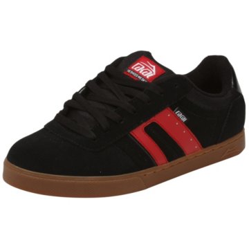 Lakai Biebel 2LK