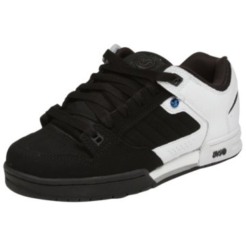 DVS Militia