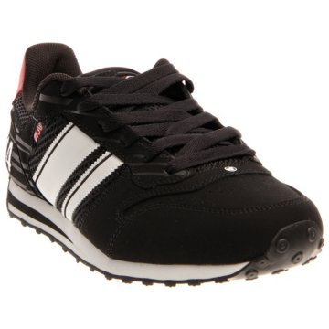 DVS Premier
