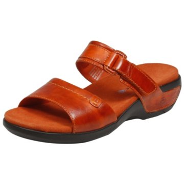 Aravon Kendra