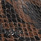 Brown Snake