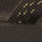 Stitches Brown