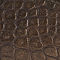Brown Croc
