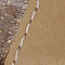 Jute