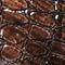 Dk Brown Snake
