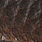Bark/Grizzly
