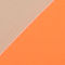 Citrus/Birch