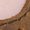 Brown/Pink