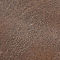 Medium Brown