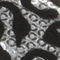 Silver/Leopard