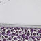 White/Purple