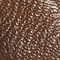 Almond
