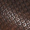 Brown Snake