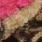 CHEETAH/PINK