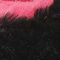 BLACK/PINK