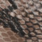 Off White Snake