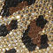 Gold Leopard
