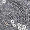 Silver Sequin