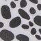 Dalmation