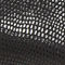 Black Lizard