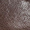 Brown Croc