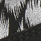 Black/Silver