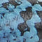 Blue Snake
