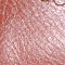 Hot Coral