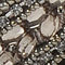 Pewter