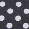 Navy/White
