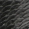 Black Snake