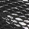 Black Snake