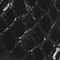 Black Snake