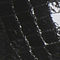 Black Snake