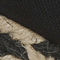 Black Canvas