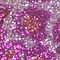 Pink Leopard