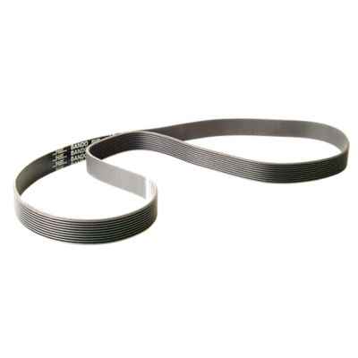 Primary Drive Belt