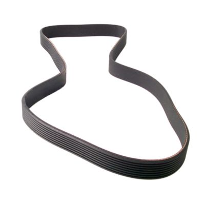 Alternator Belt