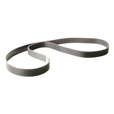 Drive Belt