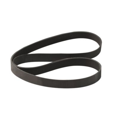 Alternator Belt