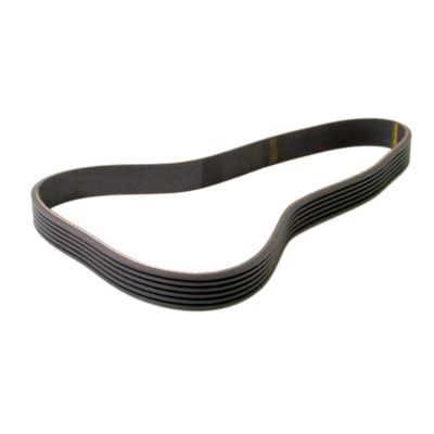 Alternator Belt | Poly-V