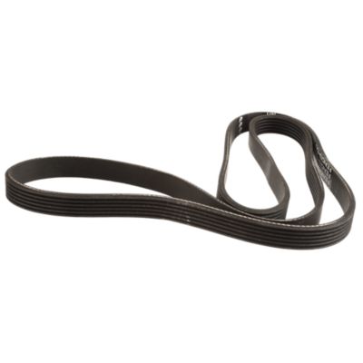 Alternator  Belt, Poly-V