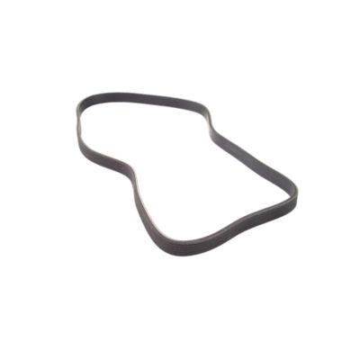 Poly-V Alternator Belt, 3400CE/3800RC Momentum Bike, Stairmaster