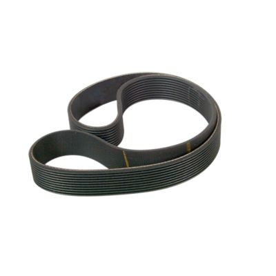 Drive Motor Belt